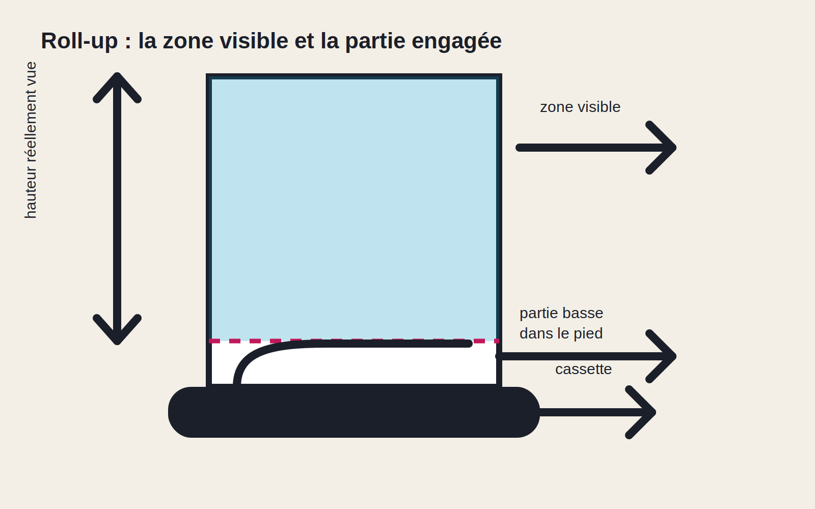 Coupe d'un roll-up montrant le visuel déployé, la zone basse engagée dans l'enrouleur et la cassette au sol
